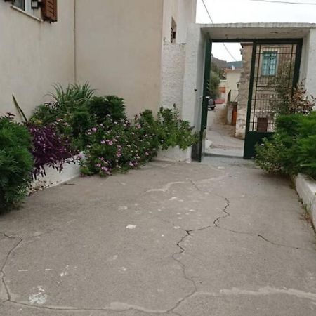 Afroditis'S & Makis'S Apartment 2 利昂尼迪翁 外观 照片