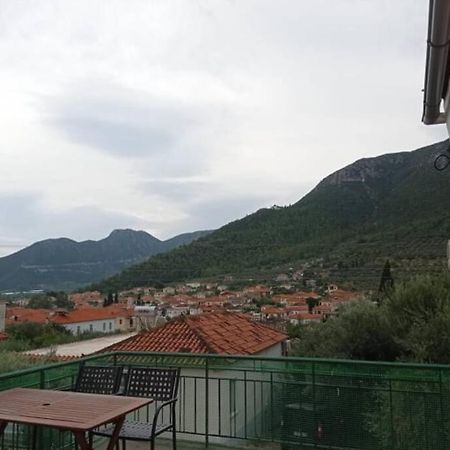 Afroditis'S & Makis'S Apartment 2 利昂尼迪翁 外观 照片
