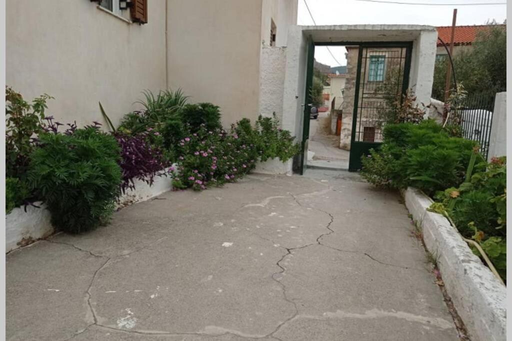 Afroditis'S & Makis'S Apartment 2 利昂尼迪翁 外观 照片